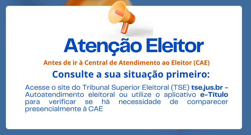 Evite filas: consulte sua situação eleitoral antes de ir ao cartório