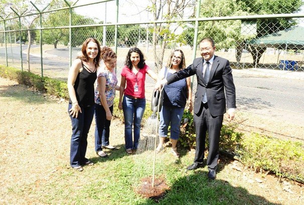 Plantio de ipês na 11ª Zona TRE/DF