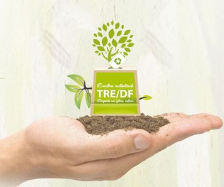 TRE-DF Logomarca do Programa Escolha Sustentável
